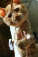 /album/unser-neuer-praxiskater/img-5727-jpg/