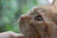 /album/unser-neuer-praxiskater/img-5794-jpg/