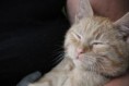 /album/unser-neuer-praxiskater/img-6460-jpg/