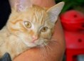 /album/unser-neuer-praxiskater/img-6463-jpg/