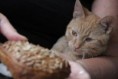 /album/unser-neuer-praxiskater/img-6488-jpg/