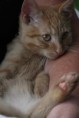 /album/unser-neuer-praxiskater/img-6496-jpg/
