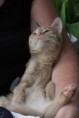 /album/unser-neuer-praxiskater/img-6498-jpg/