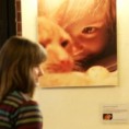 /album/die-vernissage-am-30-11-2010-wir-danken-allen-die-da-gewesen-sind-/x3v0603-jpg/